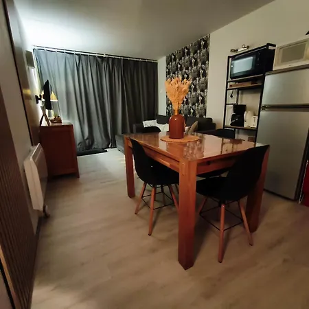 T2, 34m2, Pied De Piste, 4 A 6 Pers, 1 Chambre, Parking Prive Sousterrain Apartment