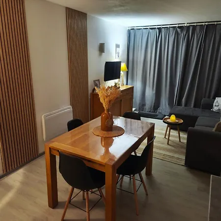 T2, 34m2, Pied De Piste, 4 A 6 Pers, 1 Chambre, Parking Prive Sousterrain La Mongie