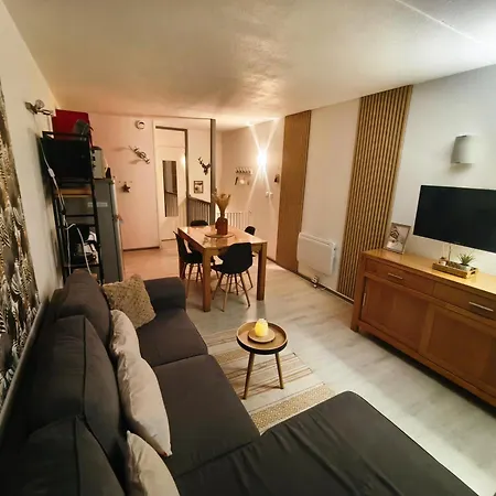 T2, 34m2, Pied De Piste, 4 A 6 Pers, 1 Chambre, Parking Prive Sousterrain Apartment